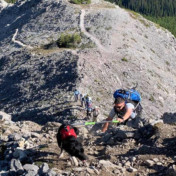 Meet your Posher, Trevor - Picture 1 of 1